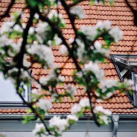 Loewenherz Appartement Bad Bentheim