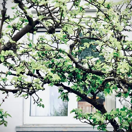 Löwenherz Apartment *