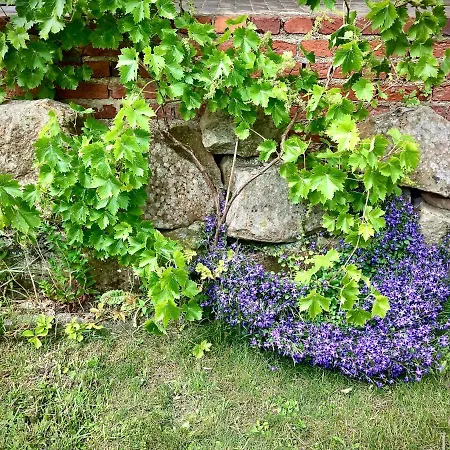 Apartment Löwenherz *