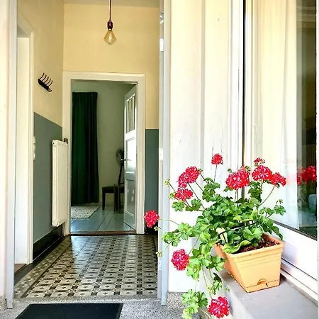 Apartment Löwenherz