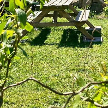 Appartement Loewenherz