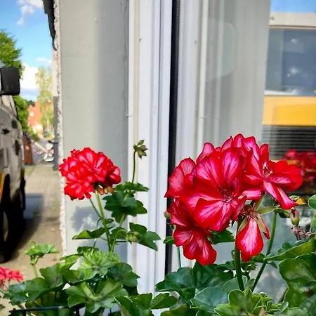 Appartement Loewenherz