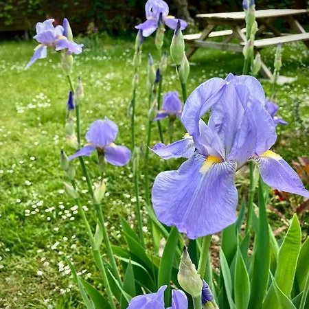 Loewenherz Bad Bentheim