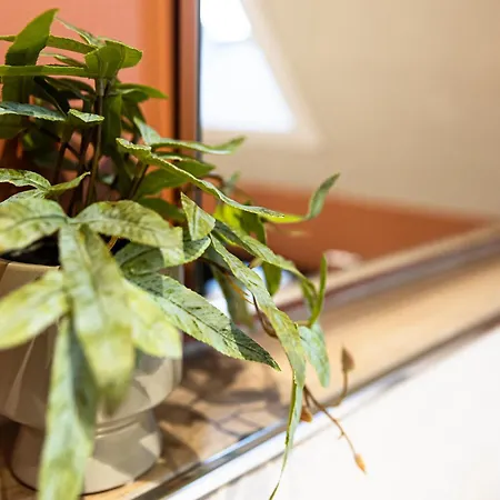 Appartement Loewenherz *