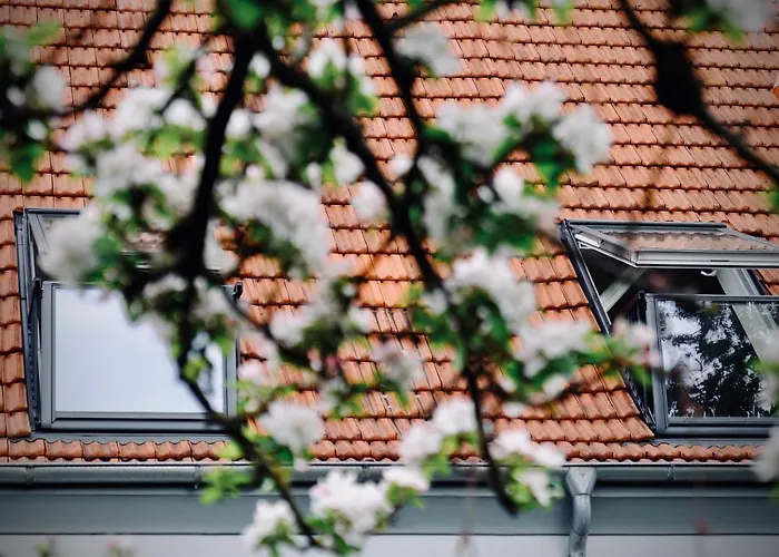 Loewenherz Appartement Bad Bentheim