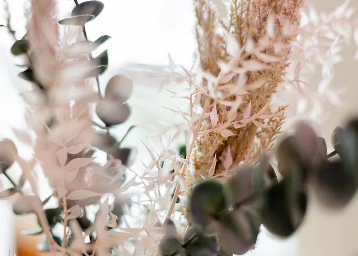 Appartement Loewenherz